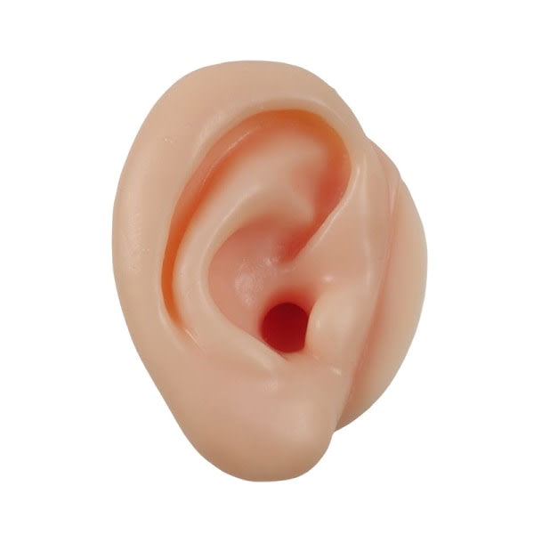 1/2 stk Silikonøre Model Impression Tar Training Ear Pickin Venstre