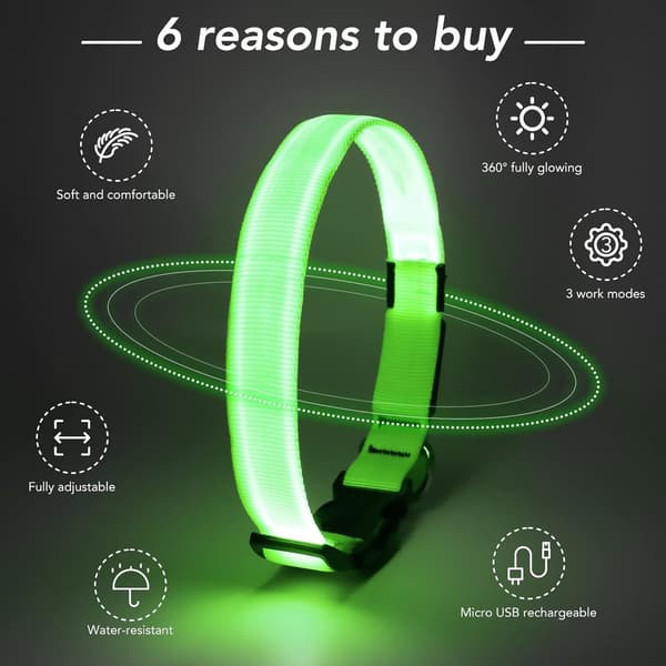 LED Dog Collar - Rechargeable Adjustable Light Collar for Dogs