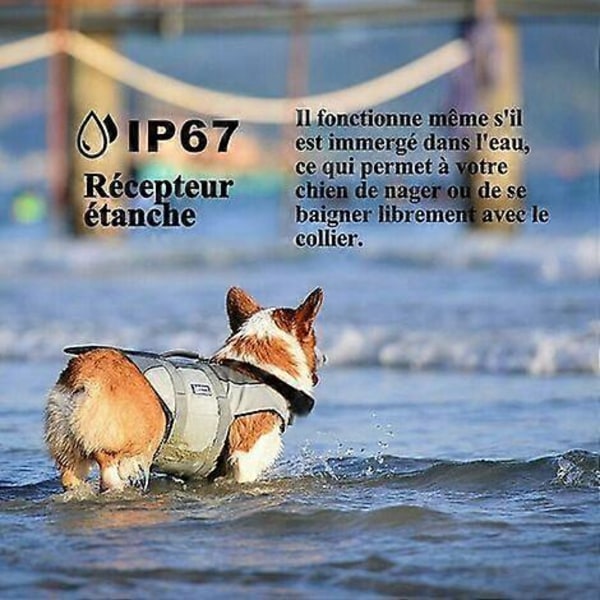 Meloive Genopladeligt og IP67 Vandafvisende Hundetræningsspor med 800m Rækkevidde, 99 Niveauer af Vibration, Elektrisk Stød, Lydtilstand.
