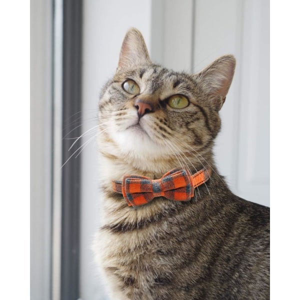 CDQ 1-pack anti strypande katthalsband, katthalsband med klokke og fluga, søde halsbånd til kattungar og katte Orange
