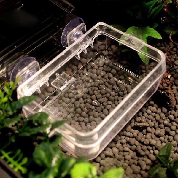 Anti-Escape Reptil Madskål Vandskål Levende Foderbeholder til Firben Gecko_tfrf