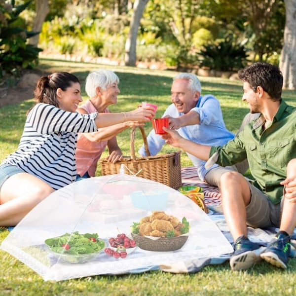 6 st Hopfällbara Mattskydd Anti-fluga Mesh Mattskydd Tält Paraply Anti-insektsnät för BBQ Picknickmat, 1 Stor (100x60cm) & 5 Standard