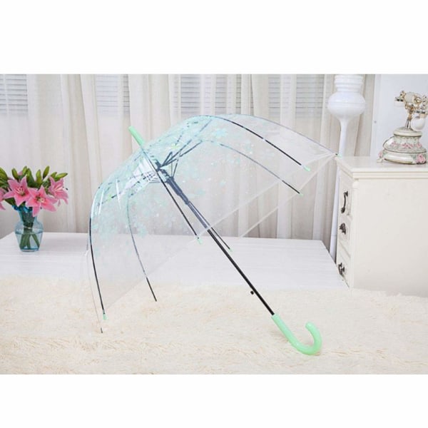 CDQ Transparent paraplykupol, vindtät lätt (grön)