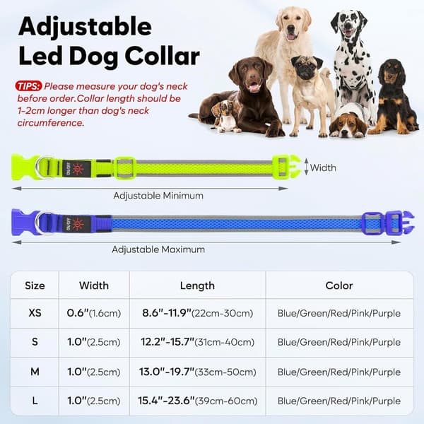 LED Dog Collar - Rechargeable Illuminated Collar USB - Strong Light for Night Walks