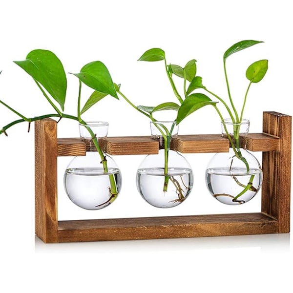 Förökningsstation Lampa Vas Glas Ekollonvas Lervas för blommor Planteringshållare med träram