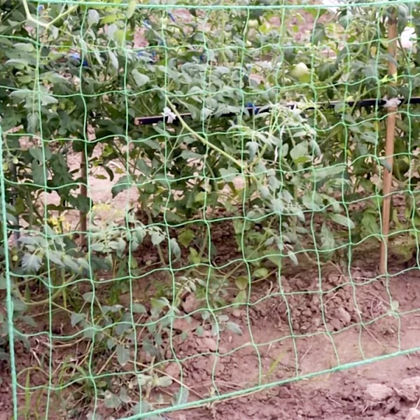 Plant Support Netting / Plant Climbing Net - 2x20m 450