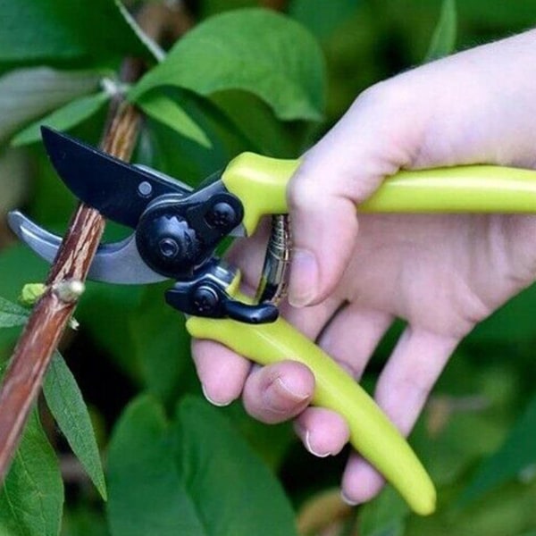 Havesaks til planter og blomster