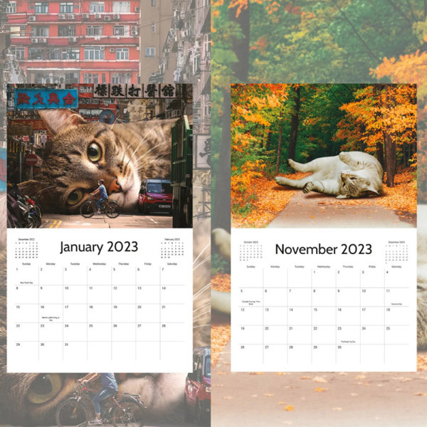 CDQ 2023 Veggkalender e Cats Funny Pooches Kalender