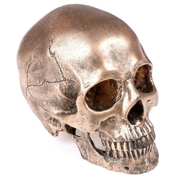 Menneskelig Bronze Resin Kranie Model Halloween Realistisk 1:1 Statue Guld One Size