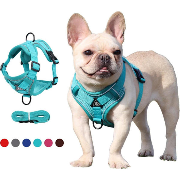 Dog Harness and Leash Set - Triangular Stabilization Ring - 2 Leash Clips - Adjustable Pet Harness - Padded Vest