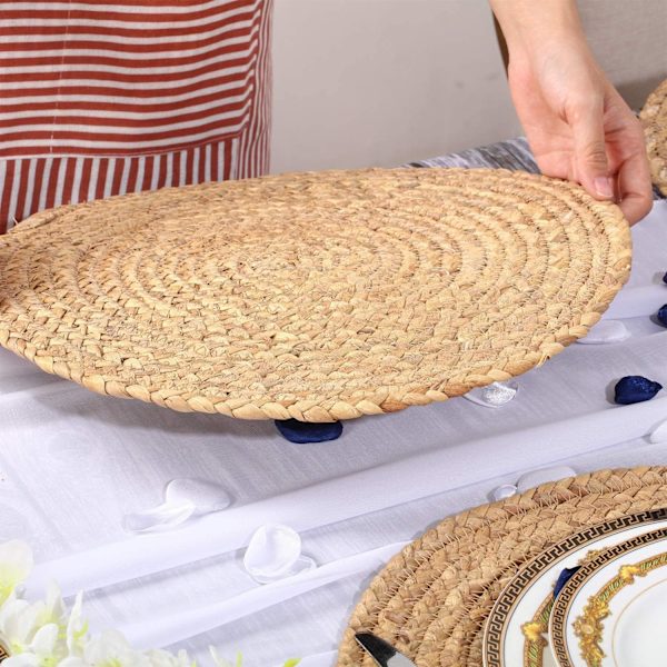 Gixusil 8 kpl Kudotut Alusmatot, 9.8\", Luonnollinen Vihreä, Rustic Kudonta, Ruokapöytä