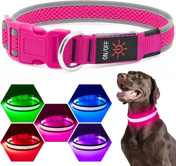 LED Dog Collar - Rechargeable Adjustable Light Collar for Dogs