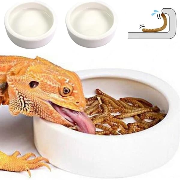 Krybdyrskål Foder- og vandskål Anti-Escape Keramisk foder- og vandskål Anti-Escape Super Worm Feeder S S