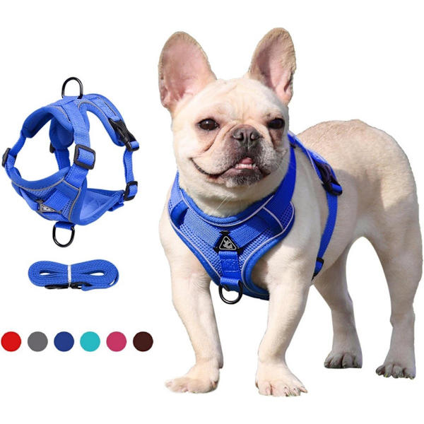 Dog Harness and Leash Set - Triangular Stabilization Ring - 2 Leash Clips - Adjustable Pet Harness - Padded Vest
