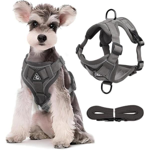 Dog Harness and Leash Set - Triangular Stabilization Ring - 2 Leash Clips - Adjustable Pet Harness - Padded Vest
