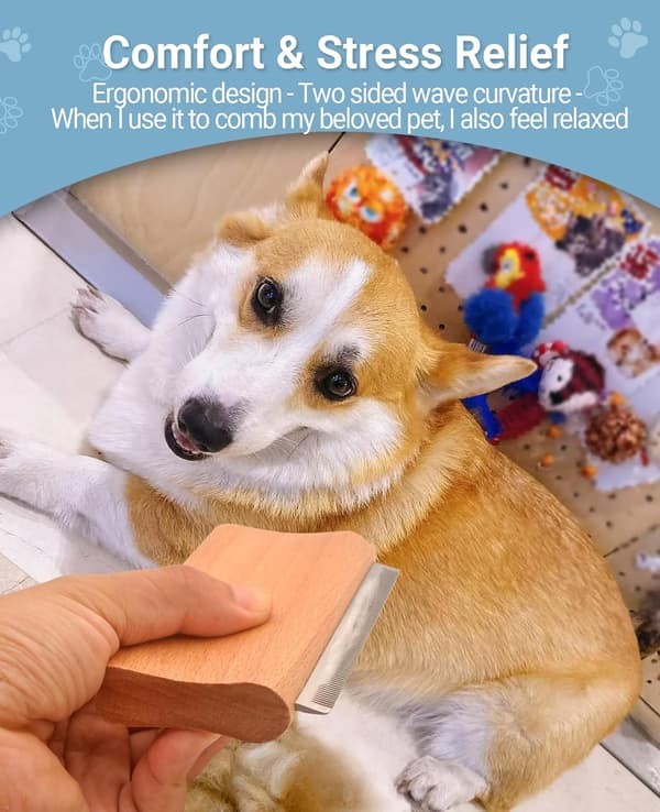 Trywise - Hunde- og kattebørste - trehåndtak - størrelse L