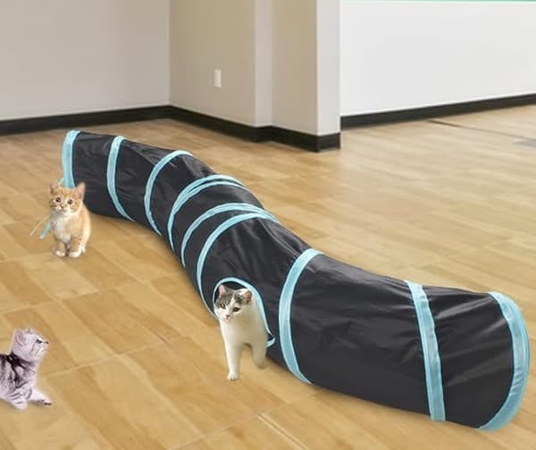 Kattetunnel - Kattetunnel - Kattelegetunnel