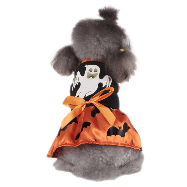 CDQ 1 Set Spooky Bat Halloween Pet Supplies Hundkläder Witch Dress