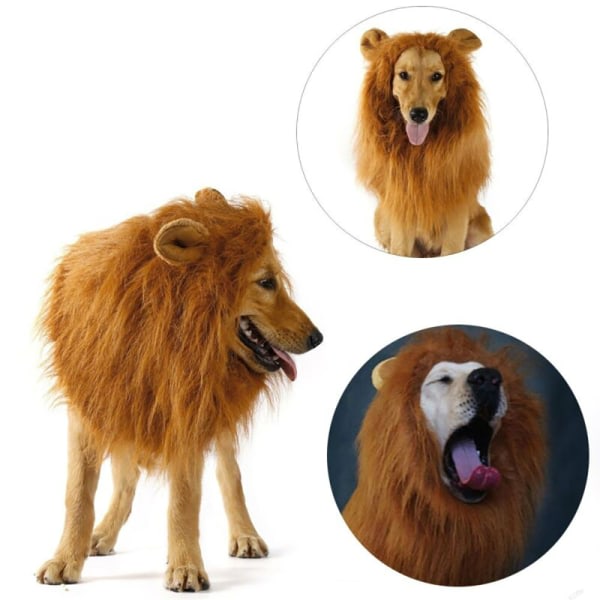 Lejonman Peruk Hund Katt Halloween Kläder Fancy Cosplay SQBB