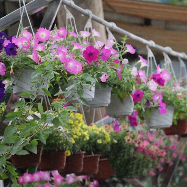10-pack hängande planteringskorg inomhus/utomhus hängande blomkrukor växthållare hängare krokar för heminredning röd