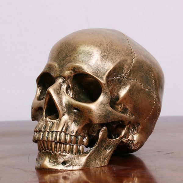 Human Bronse Resin Skalle Modell Halloween Realistic 1:1 Staty Gold One Size