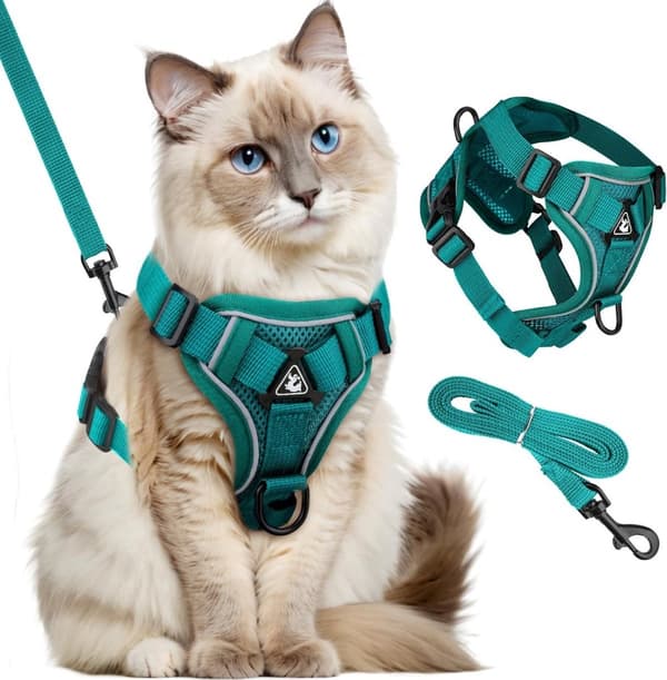 Dog Harness and Leash Set - Triangular Stabilization Ring - 2 Leash Clips - Adjustable Pet Harness - Padded Vest