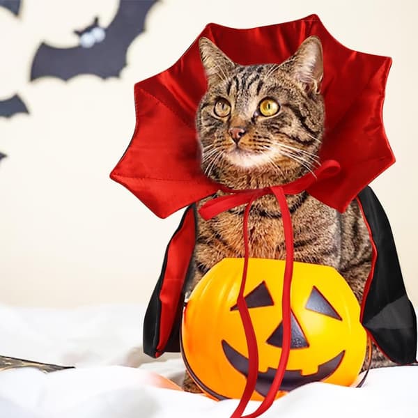 Materiale Satengstoff, Multifunksjonelt Kostyme, Lett å Bære Justerbart, Kjæledyrfester Halloween for Små Mellomstore Hunder Katter
