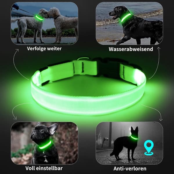 LED, hundehalsbånd - Oppladbart justerbart lyshalsbånd for hunder