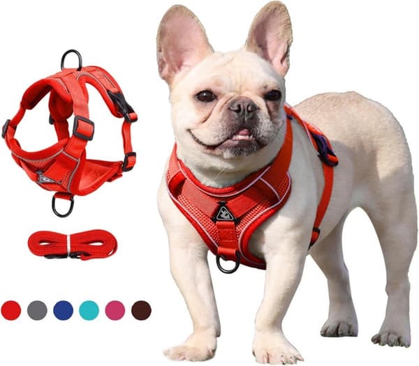 Dog Harness and Leash Set - Triangular Stabilization Ring - 2 Leash Clips - Adjustable Pet Harness - Padded Vest