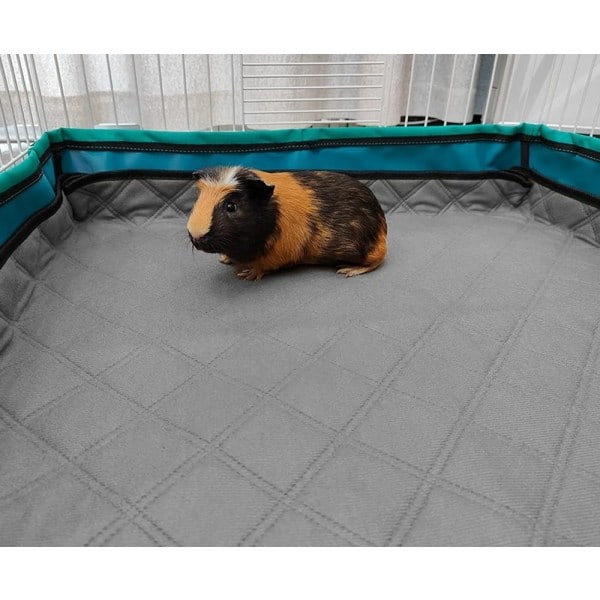 Burmattor för marsvin 60x120 cm 2-pack GINISWEETY