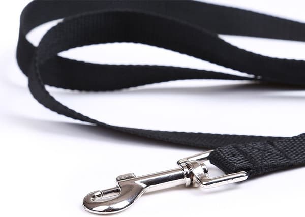 Dog Leash 20 meters - Long Leash - Nylon - 2 cm wide - Black - Active and medium-sized dogs - For training, walks