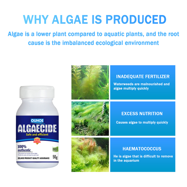 CDQ Akvarium Algmedel Vatten Alger Kontroll Fisk Tank Moss Remover