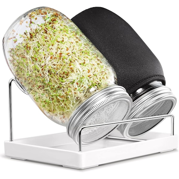 Breda Mun Quart Spireglas, Spirelåg i Rustfrit Stål for Minimalistisk Design, Spire Dig til Sundhed med Lethed (Komplet Spirekit,