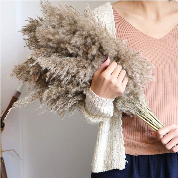 Pampasgræs, 20 stk, 60 cm, naturligt tørret, bryllup, trendy