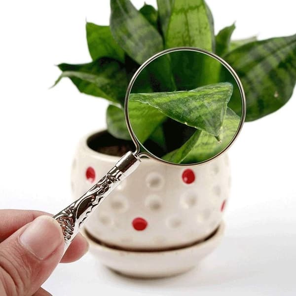 Förstoringsglas 4x 45mm Retro Legering Handhållet Lupp för Läsning Hobby Observation Vuxna Barn Silver silver