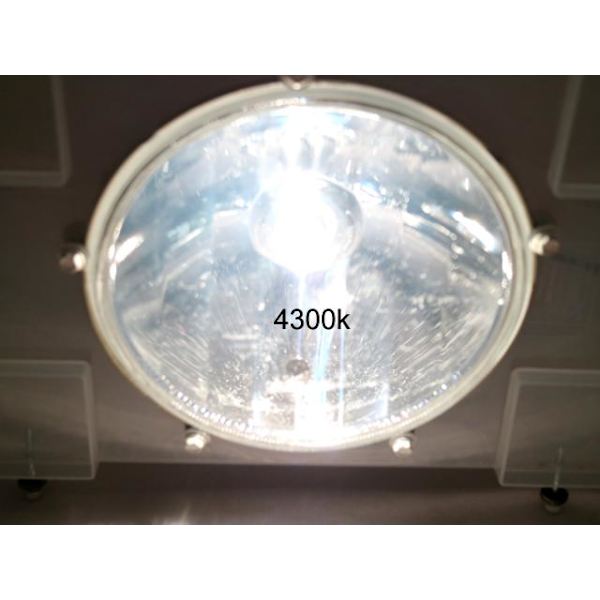 H7 4300k white halogen 55w lampor Vit