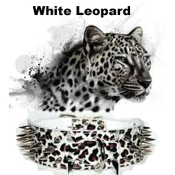 Hund halsband 2" vit Leopard med nitar 49-57cm