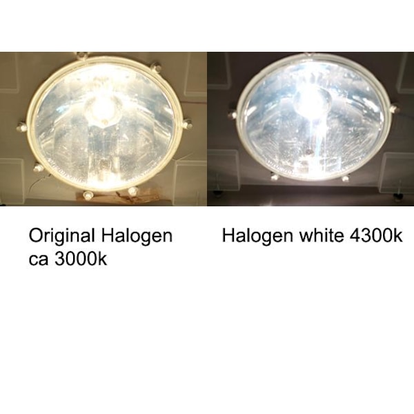 H1 4300k white halogen 55w lampor P14.5s Vit