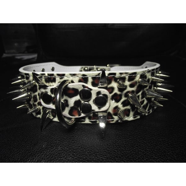 Hund halsband 2" vit Leopard med nitar 39-47cm