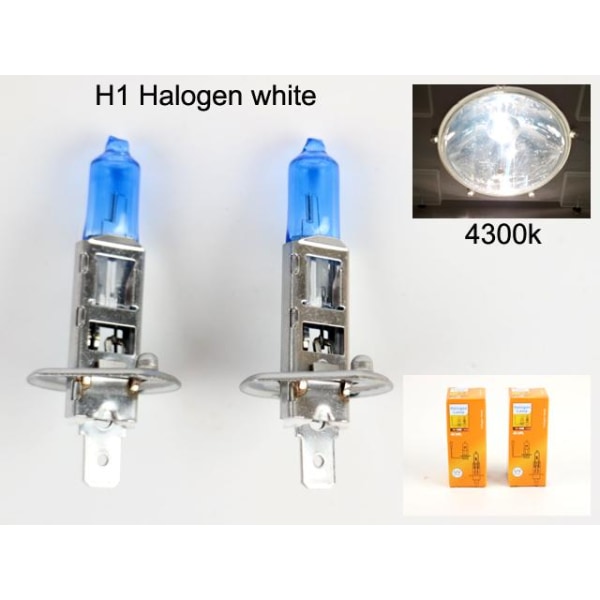 H1 4300k white halogen 55w lampor P14.5s Vit