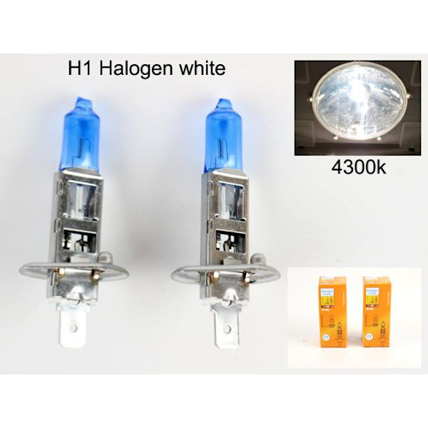 H1 4300k white halogen 55w lampor P14.5s Vit