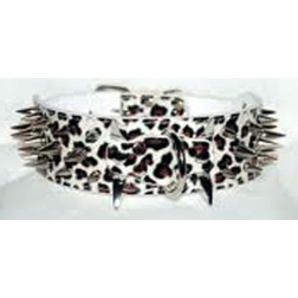 Hund halsband 2" vit Leopard med nitar 44-52cm