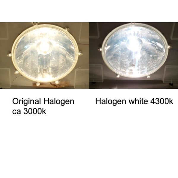 H11 4300k white halogen 55w lampor Vit