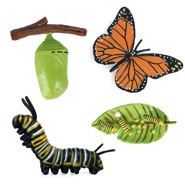 Life cycle model 1 piece 1 set animal insect butterfly simulatio