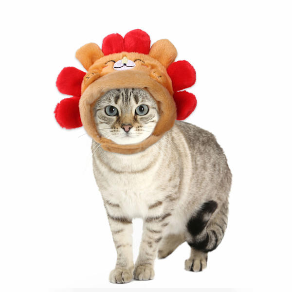 Husdjur Hatt Teddy Klä Upp Igelkott Hatt Katt Hatt Katt Huvudbonad Husdjur Sup