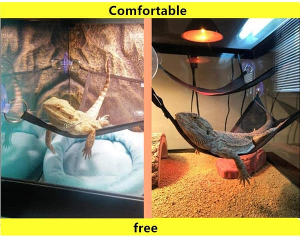 2 st skäggagamhammock set 2 reptilhammock solstol för G