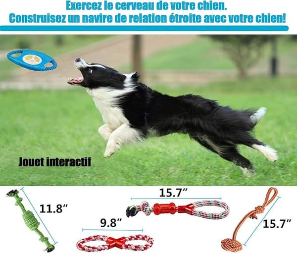 Set med 10 hund leksaker, hållbart tuggleksak
