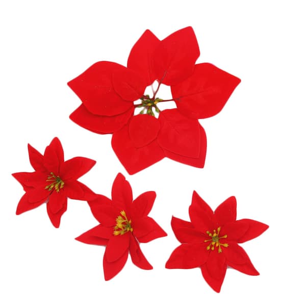 7 stk julestjerner juleblomster engros julestjerne planter bo
