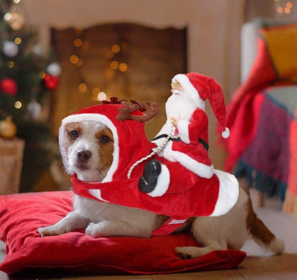 Julehunde Kostume Julemand Ridning Kæledyr Rollespil Medium La