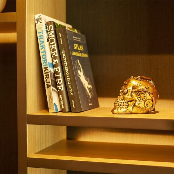 Halloween Steampunk Skull Home Decor - Sci-Fi Human Head Skeleto
